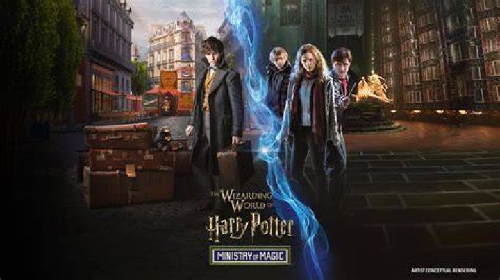Was hermione minister of magic?
