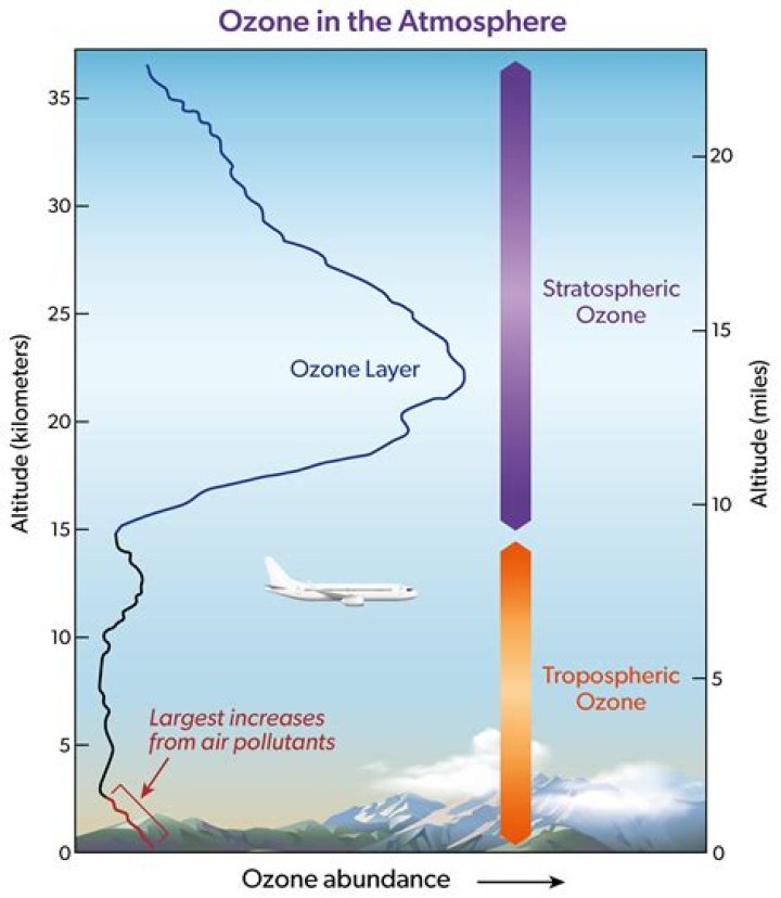 Were is ozone layer located?