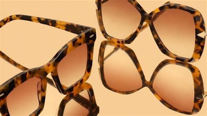 What are tortoiseshell glasses?