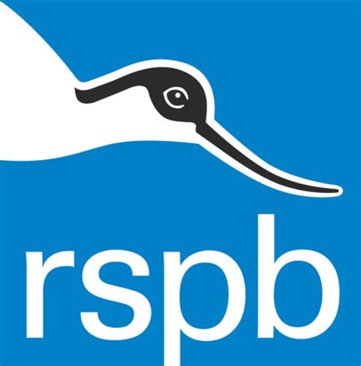 What bird is on the rspb logo?