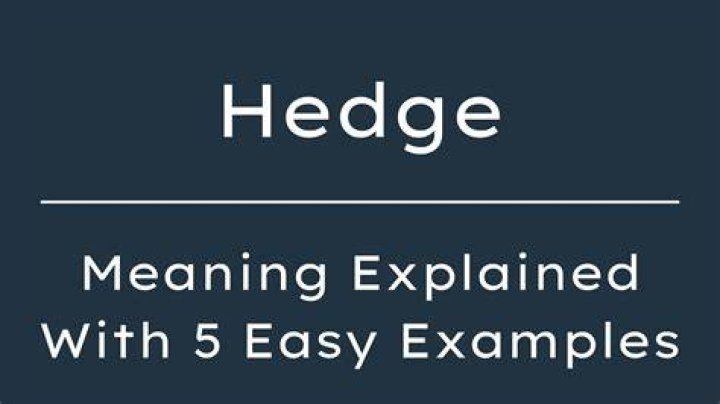 What does hedge school mean?
