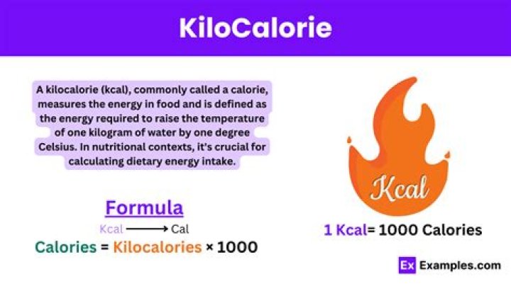 What does kilogram calorie mean?
