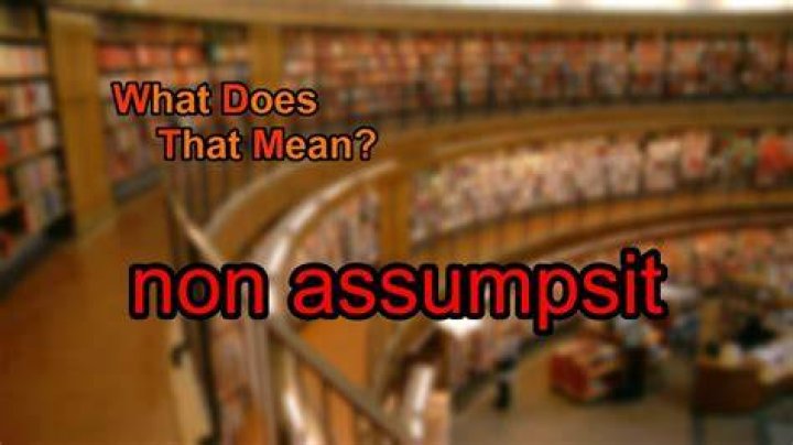 What does non assumpsit?