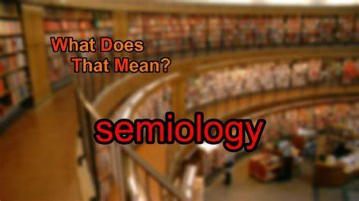 What does semiology mean?
