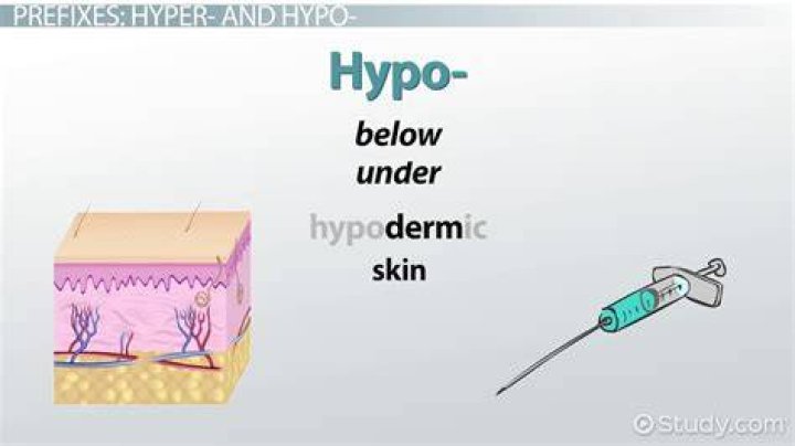 What does the prefix hypo mean?