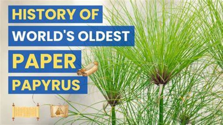 What is a papyrus used for?