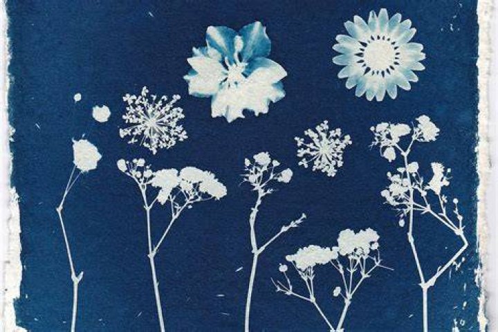 What is cyanotype printing?
