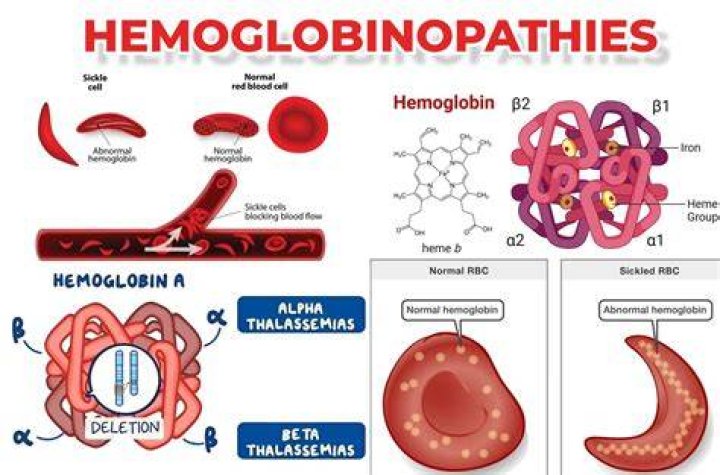 What is hemoglobinopathy evaluation?