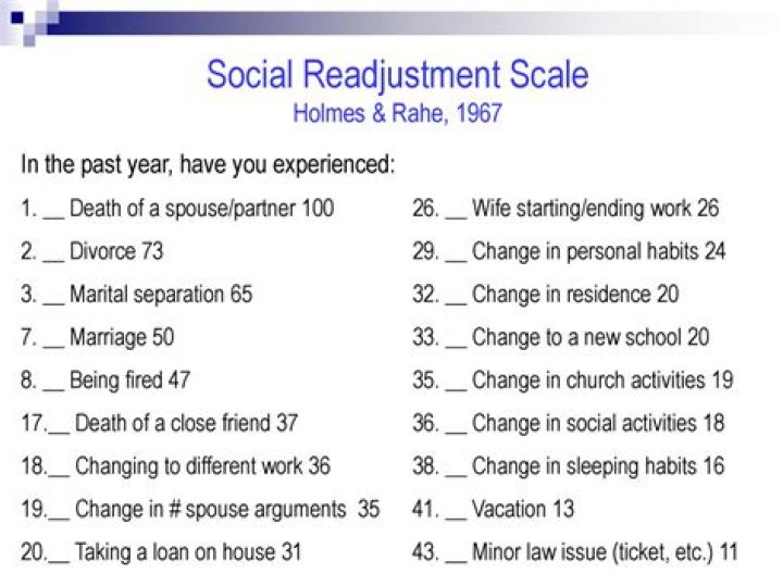 What is the holmes rahe social readjustment scale?