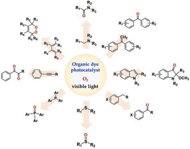 What is the main difference between a photosensitizer and a catalyst?