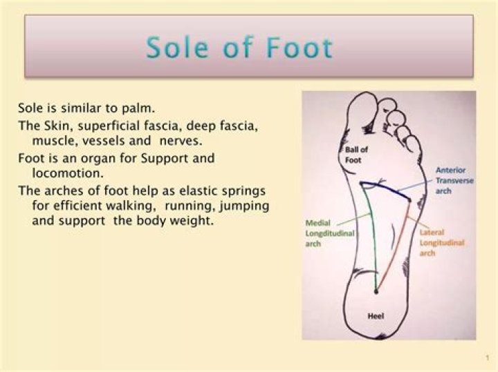 What kind of sole is good for walking?
