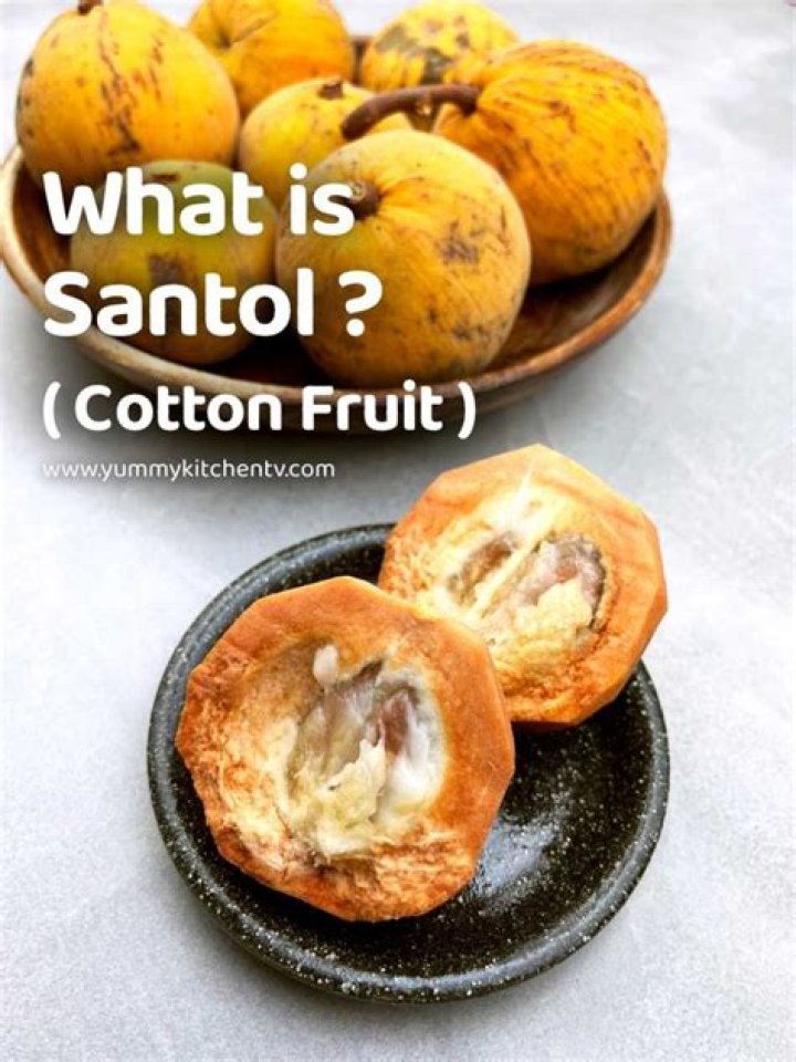 What santol in english?