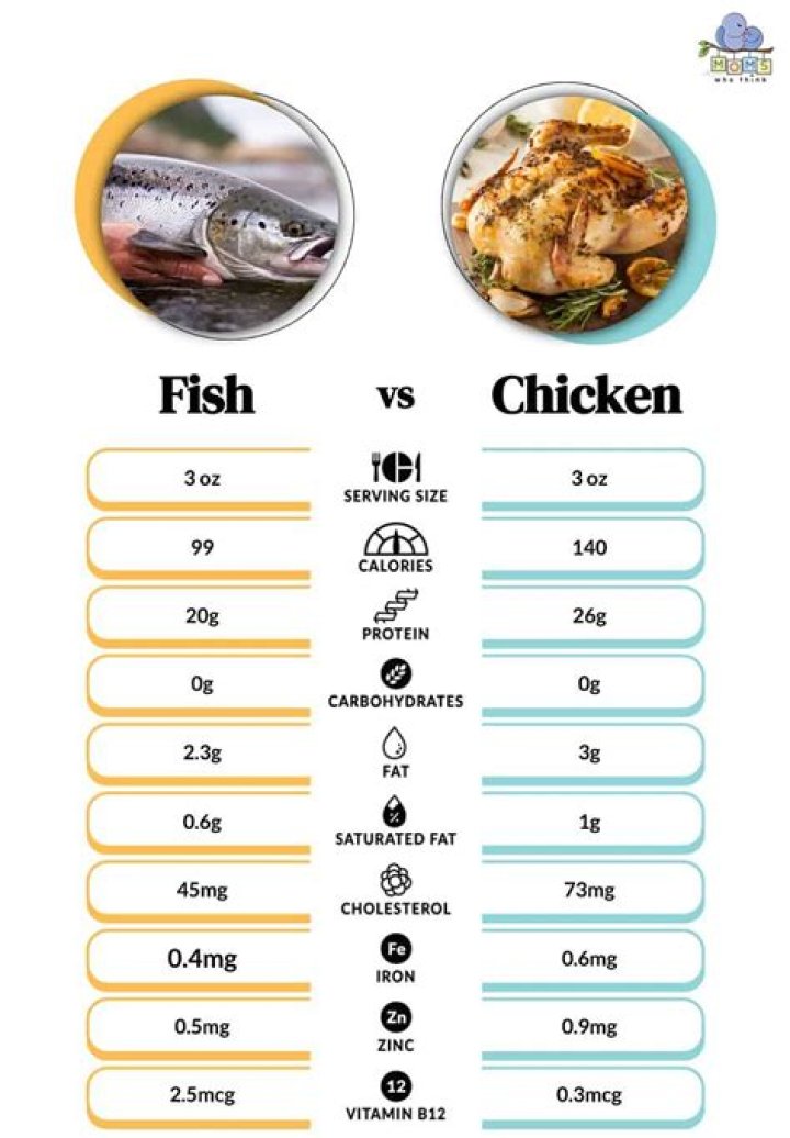 Whats the difference between fish and fly fishing?
