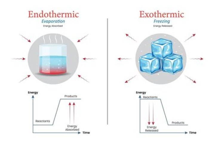 Which compound is the process of dissolving in water exothermic?