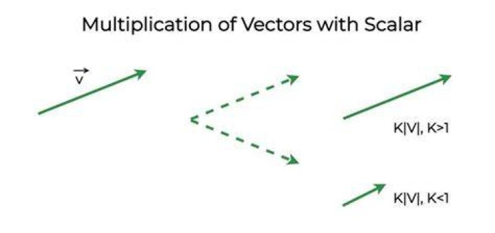 Which of the following are scalars (as opposed to vectors)?