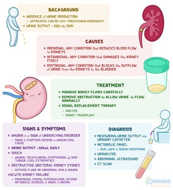Which of the following blood parameters is associated with uremia?