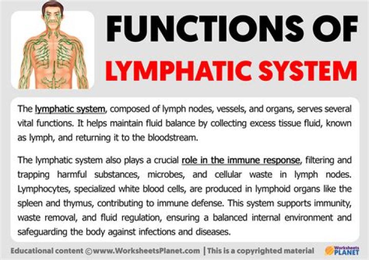 Which of the following is a function of lymphatic system?