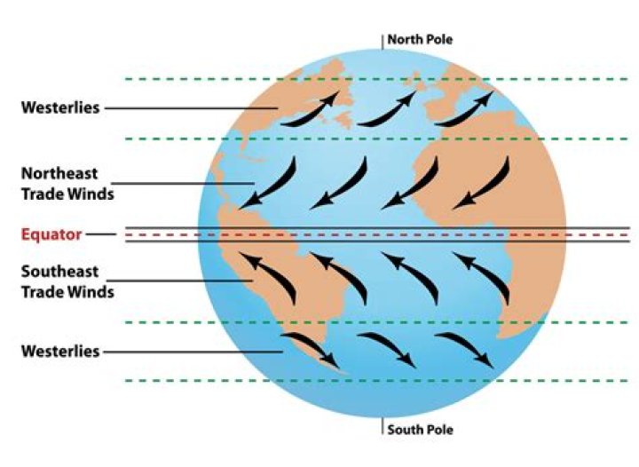 Which of the following winds is called anti-trade winds?