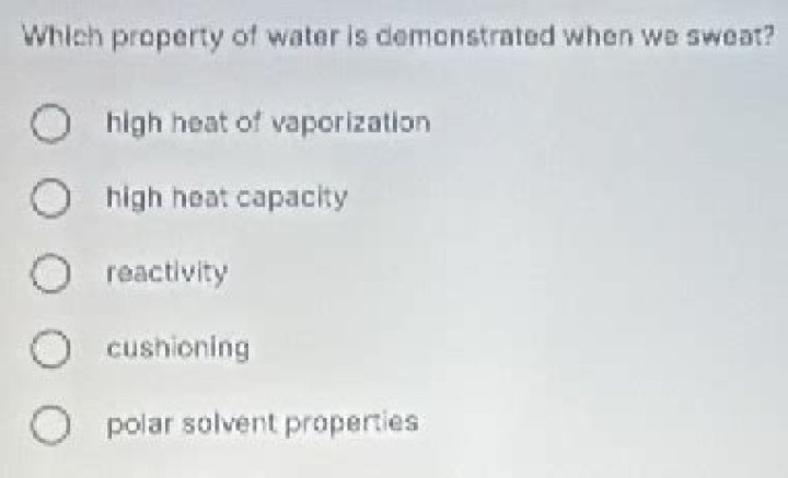 Which property of water is demonstrated when we sweat?