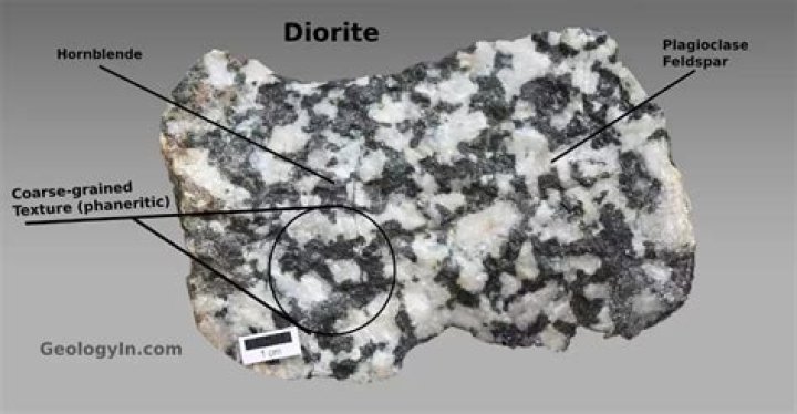 Which type of rock is diorite brainly?
