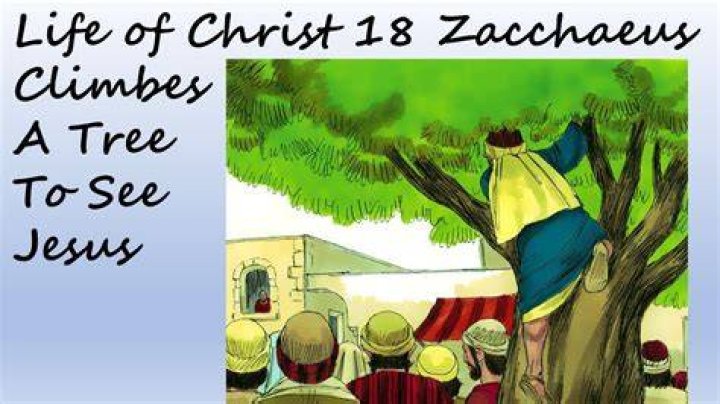 Who climbed a tree to see jesus?