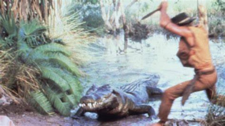 Who is donk from crocodile dundee?