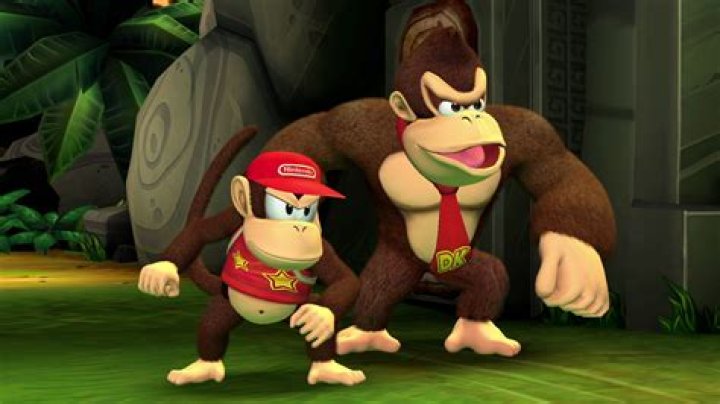 Whose donkey kong's son?