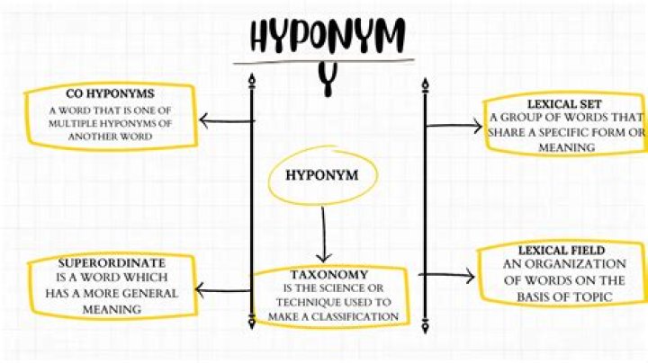 Why are hyponyms used?