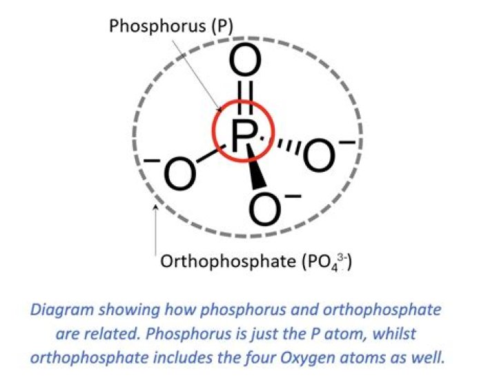 Why do we monitor orthophosphate?