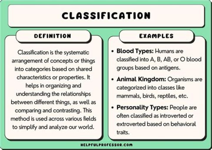 Why is categorisation important?