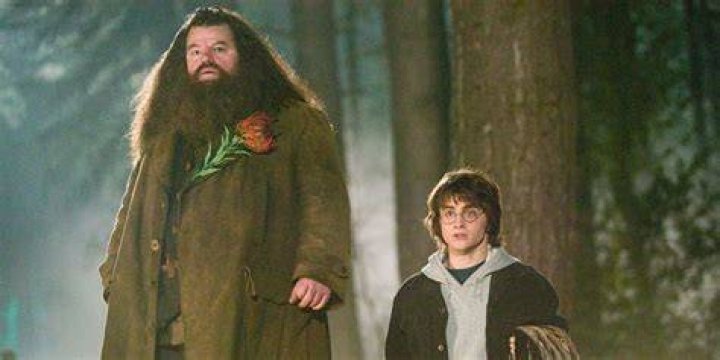 Why is hagrid so big?