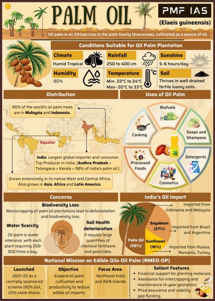 Why is palmyra palm important?