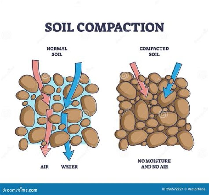 Why is soil turned and loosened before sowing?