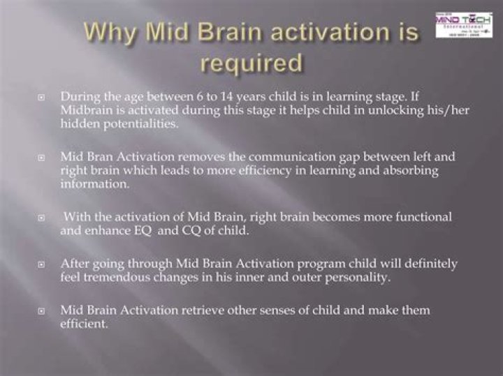 Why midbrain is reduced in human?