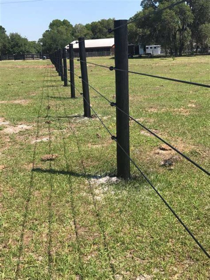 Will black buck jump a fence?