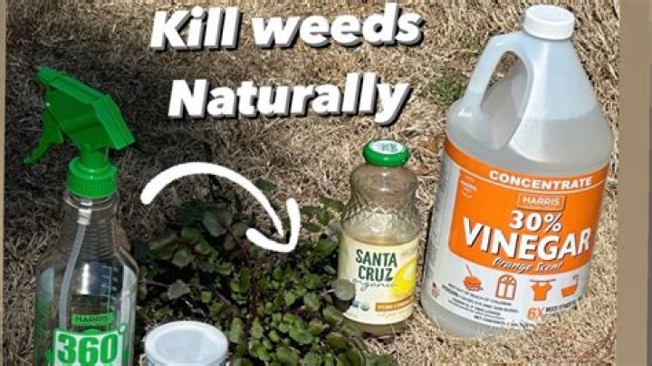 Will liquid chlorine kill weeds?