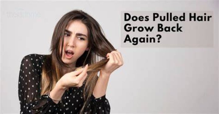 Will pulled hair grow back?
